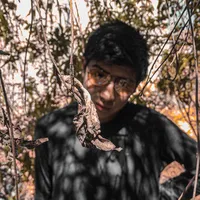original sound - aaroncarrasvera_