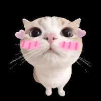 original sound - template_editsfyptrend