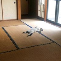 yukitamu3