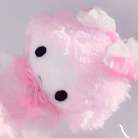 neeeeko_