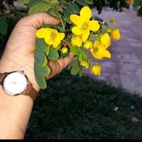 okkagundechappudu__121