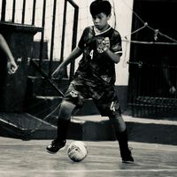 davidobudguds