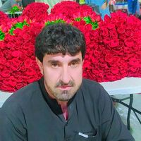 badshahjan779