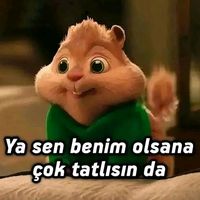 guneltaghiyeva_