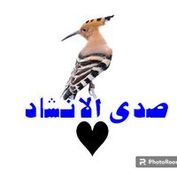 محمد حسين عامر قران