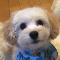charo210928