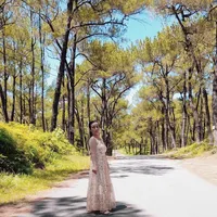 original sound - user24352231