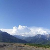 zaur.yusibov8
