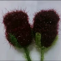 original sound - henginlove