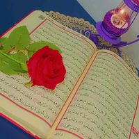user23012069754