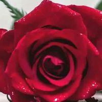 original sound - S💞R💞E💞E💞N💕I💕V💞A💞S