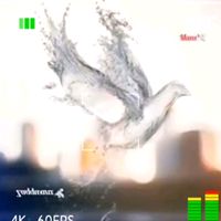 secret_merpati