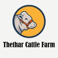 t_cattle_farm