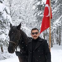 orijinal ses