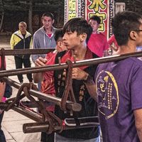 yao0205