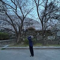 do_mo06_