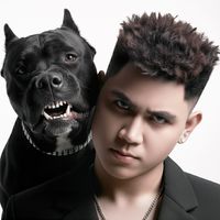 Âm Thầm Bên Em Thịnh Louis Remix