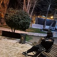 orijinal ses
