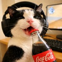 original sound - Cat Netflix 🇺🇸