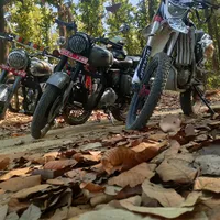 original sound - gearupteam