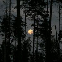 оригинальный звук