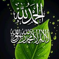 mughalhas4