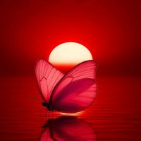 suara asli - Wardahani🕊️