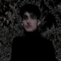 _41.n