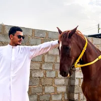 original sound - baker_bin_khaled