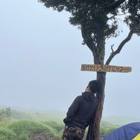 suara asli - stdss33