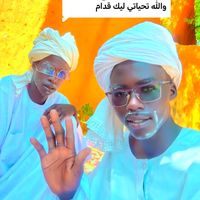 user4571572807541
