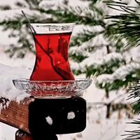 ismail_yildirim064