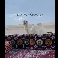 original sound - hafsa_here01