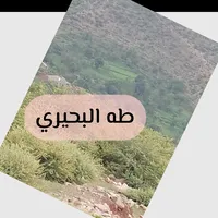 original sound - taha144601033