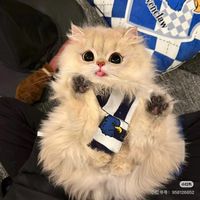 原聲 - ❤️❤️哇终于发现了宝藏博主!!!