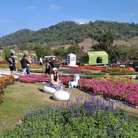 original sound - tuktee..pidwara