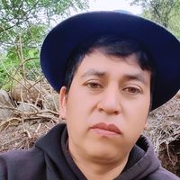 elsiverio