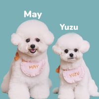 オリジナル楽曲 - bichon._.may