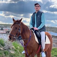 orijinal ses