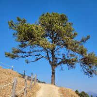오리지널 사운드 - 연길26