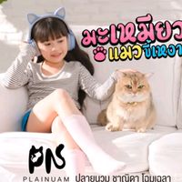 plainuam_chanida