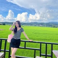 duang213