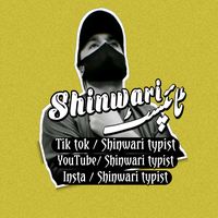 shinwaritypist