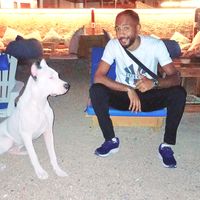ahmedmido3459