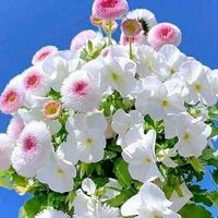 user8240196186139
