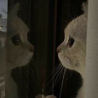 オリジナル楽曲 - 💗