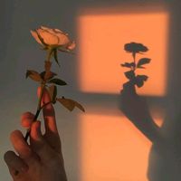 backlit1p