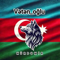 v_e_t_e_nim