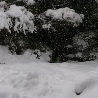 自責の念