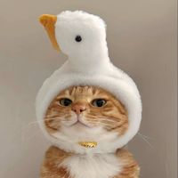 suara asli - KAMARIFANS